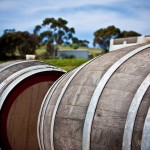 Wine Barrels On the Vineyard